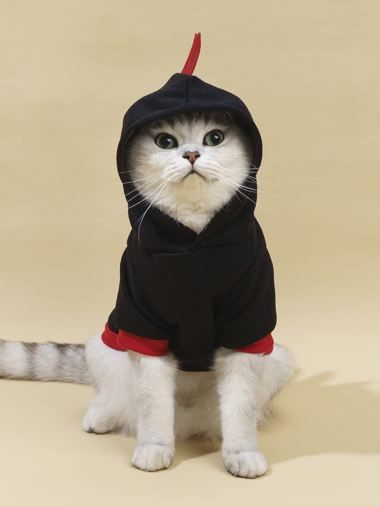 QWEEE Dinosaur Dog Hoodie - Warm Jacket for Puppy, Kitten, Small, Medium Dogs & Cats - Black, XL - Christmas & Halloween Costume