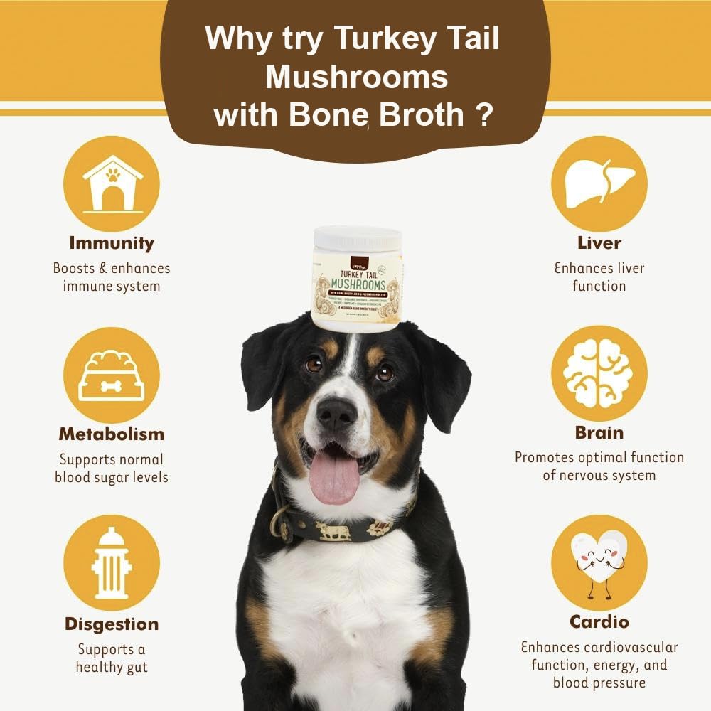 iHeartDogs Turkey Tail Mushroom for Dogs for Lumps, Bumps & Lipomas with Bone Broth and 6 Mushroom Blend Powder