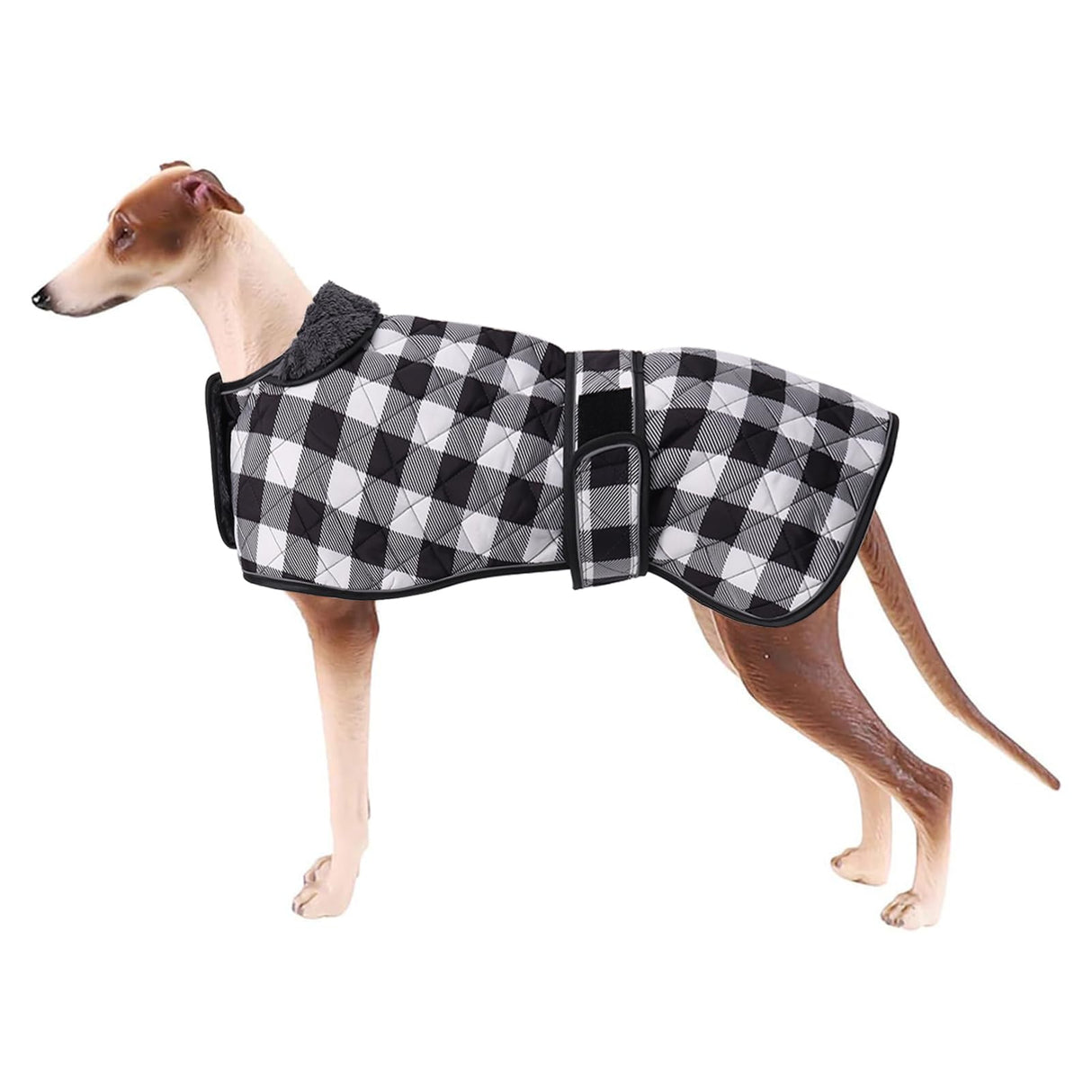 Geyecete Waterproof Greyhound Whippet Lurcher Dog Coat-with Warm Fleecy Lining Inside Outdoor Dog Apparel with Adjustable Bands for Medium, Large Dog-Black-3XL