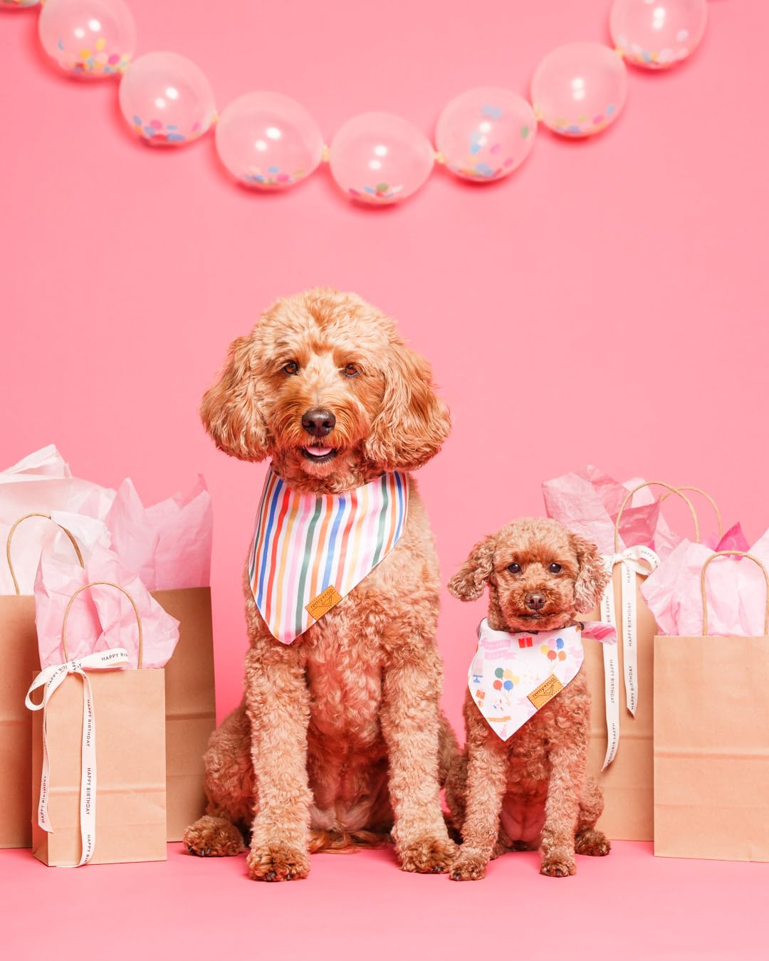 Remy+Roo Small Dog Bandanas - 2 Pack Birthday Set | Premium Durable Adjustable Polyester Fabric Dog Scarfs | Patented Shape, Trendy Patterns | Pack of Bandanas for Dogs