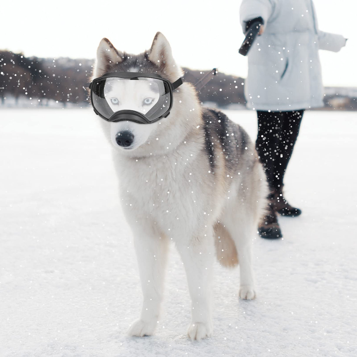 Enjoying Clear Dog Goggles for Large Dogs, Dog Sunglasses Medium Large Breed, Summer UV Pet Eye Protection, Winter Pet Snow Goggles, Transparent