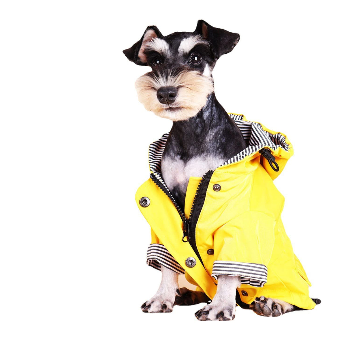 Dog Raincoat Jacket with Zip up Yellow rain Coat Hoodie Water Resistant Stylish Dog Raincoats (Large,Yellow)