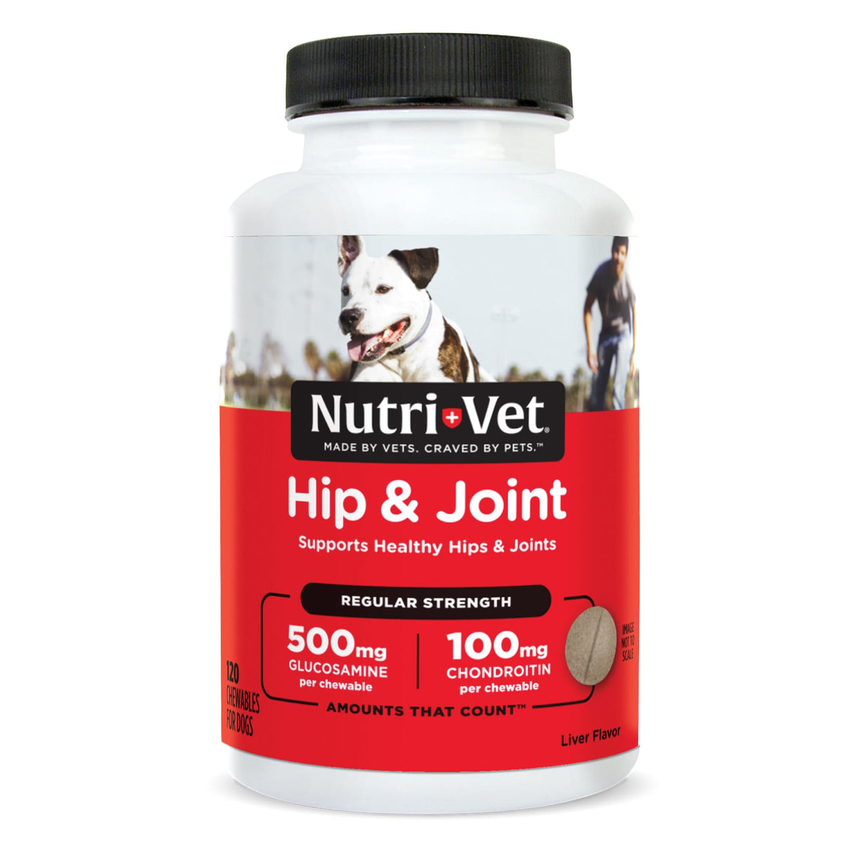 Nutri-Vet Hip & Joint Regular Strength Chewable Dog Supplements, Formulated with Glucosamine Chondroitin, Pet Supplies, Joint Supplement for Dogs, Pet Care, Puppy Essentials, 120 Count