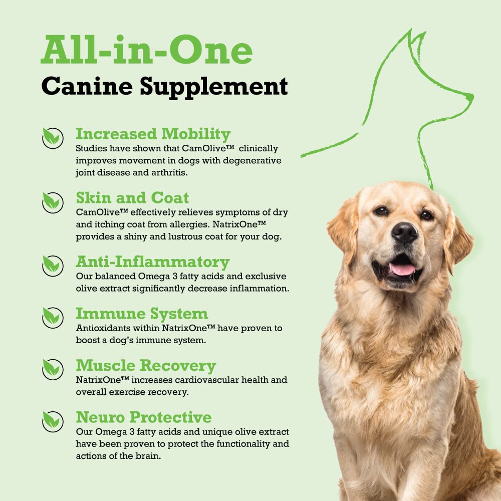 100% Pure Camelina Oil for Dogs, 16 oz - Dog Skin and Coat Supplement All-Natural Supplements, Support Hearts, Joints, Coats, Skin and Anti-inflammatory, Protective Care - Omega 3 by NatrixOne