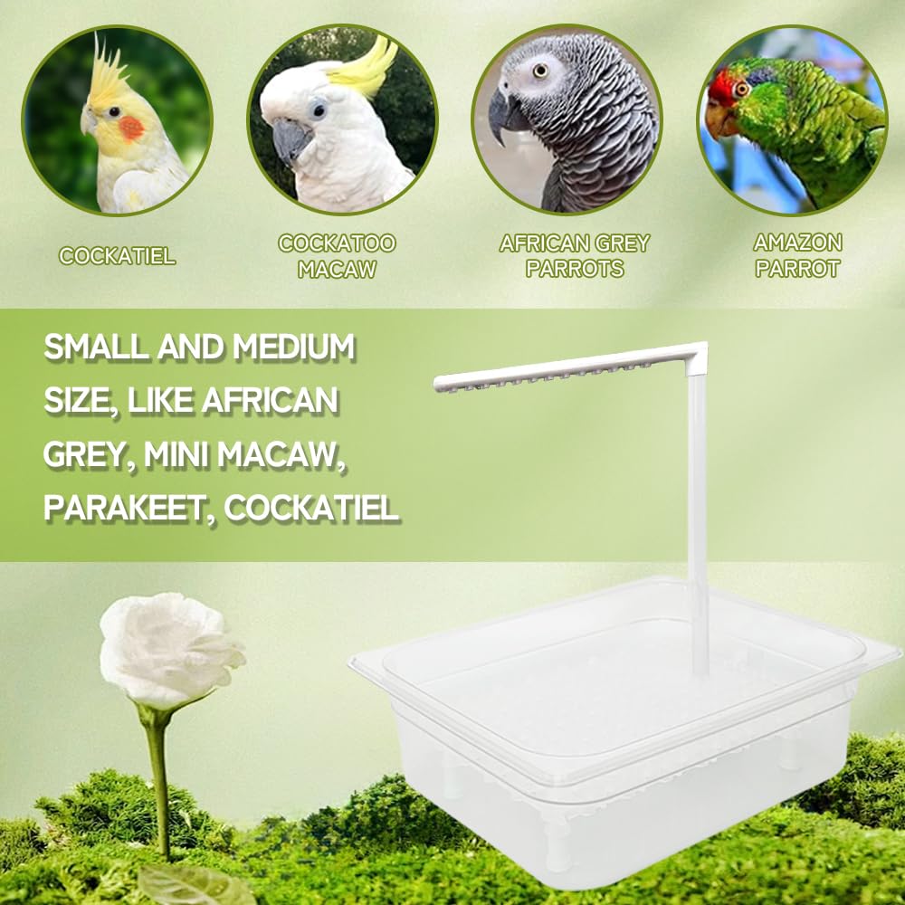 WQY GroceryShop Parrot Bathtub Indoor Automatic Bath Shower with 180 ° Circulating Faucet Contains USB and Power Plug for Medium Birds African Grey Amazon Conure Parakeet Cockatiel Lovebird
