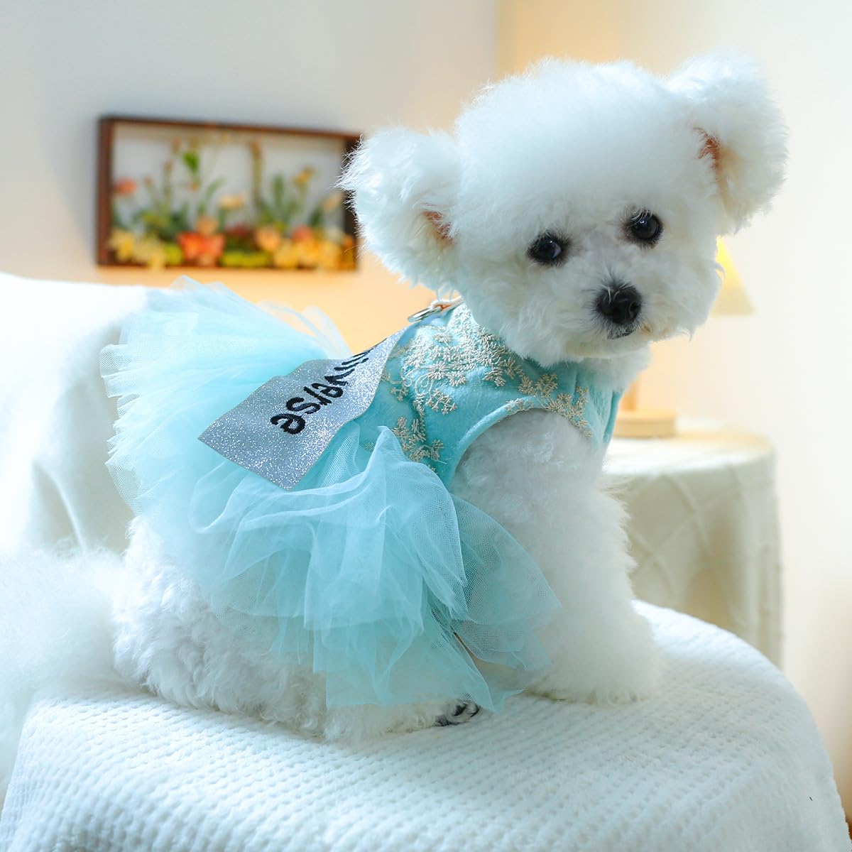 Furbabycare® Fashion Sweet Puppy Dog Autumn and Winter Princess Skirt Pet Dog Lace Cake Camisole Tutu Dress J-Blue X-Small