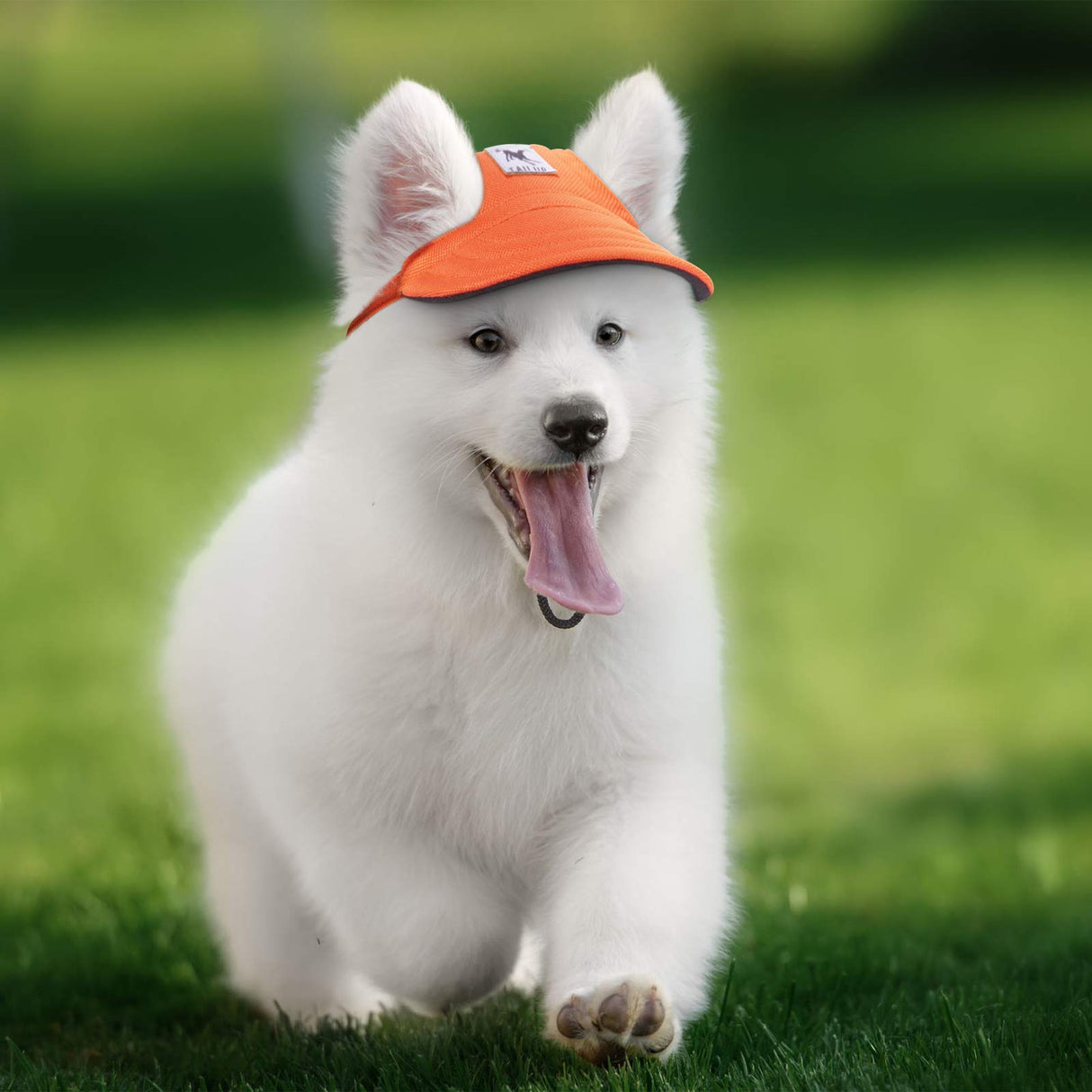 Geyoga 4 Pcs Dog Baseball Cap Sun Protection Dog Visor Hats Outdoor Sports Pet Sun Hat with Ear Holes and Adjustable Chin Strap for Puppy Small Pet