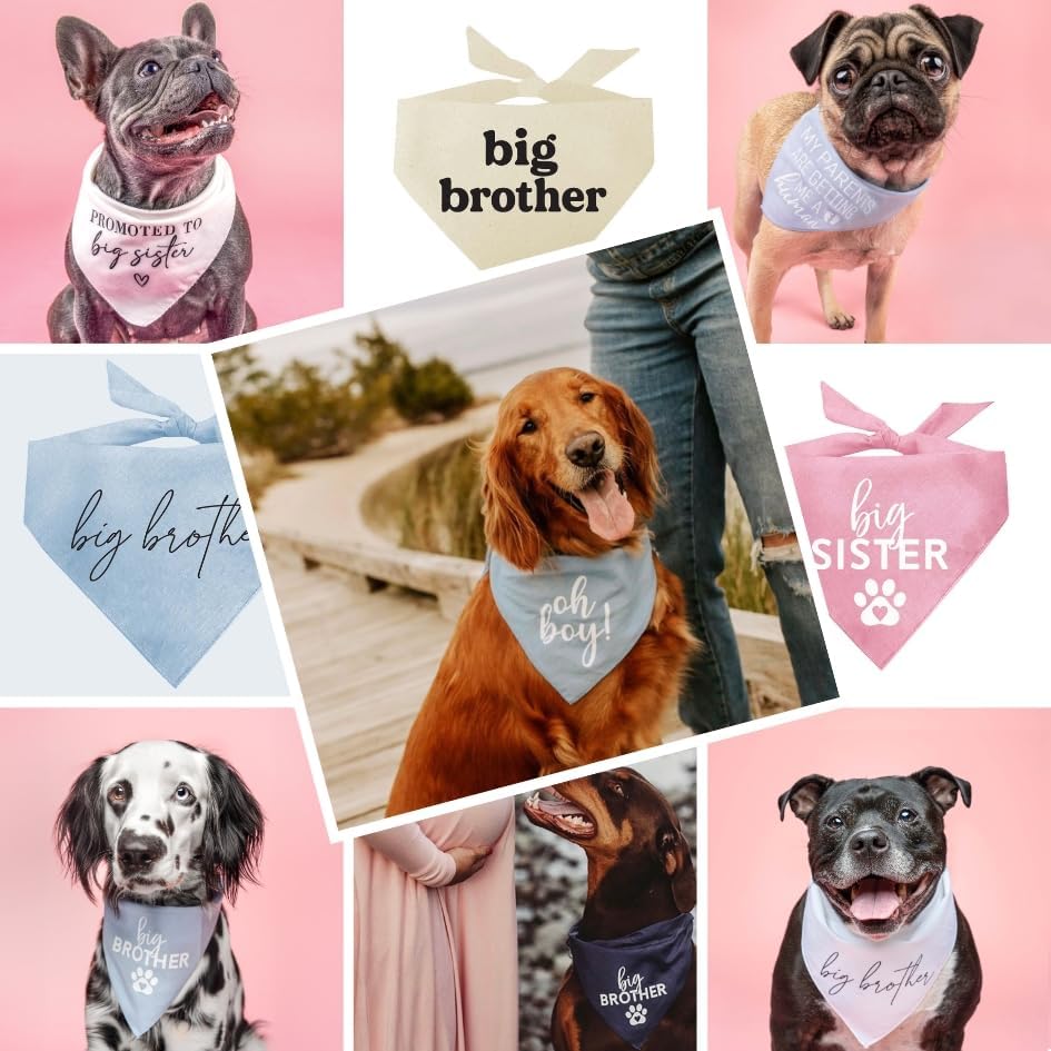 It's A Boy & It's A Girl Dog Bandana Set | Gender Reveal | Baby Announcement Photoshoot Prop | Baby Pink & Baby Blue | Pack of 2 | One Size (57) GB