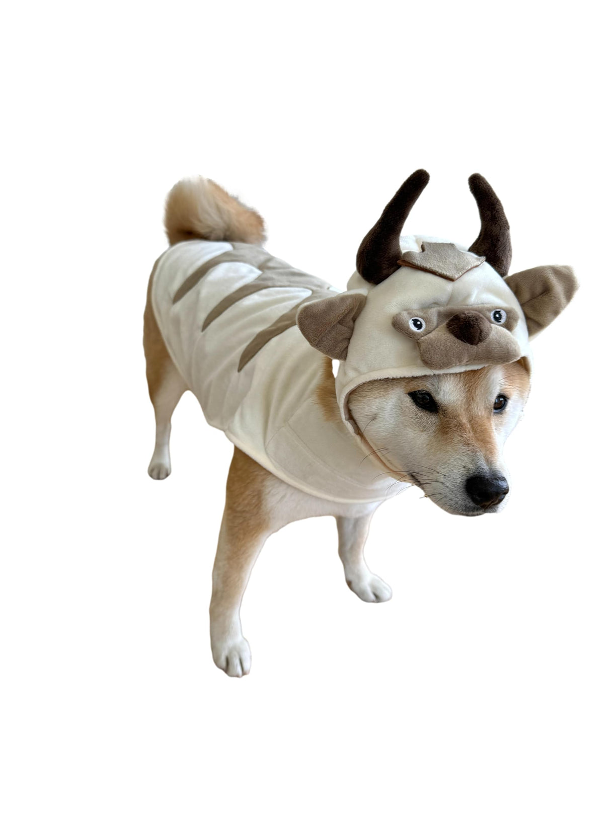 ComfyCamper Oxen Dog Costume - Viking Hat and Cape for Small Medium X Large Cosplay Halloween Costumes, Large