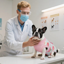 Load image into Gallery viewer, Kuoser Recovery Suit for Dogs Cats After Surgery, Professional Pet Recovery Shirt Dog Abdominal Wounds Bandages, Substitute E-Collar & Cone,Prevent Licking Dog Onesies Pet Surgery Recovery Suit