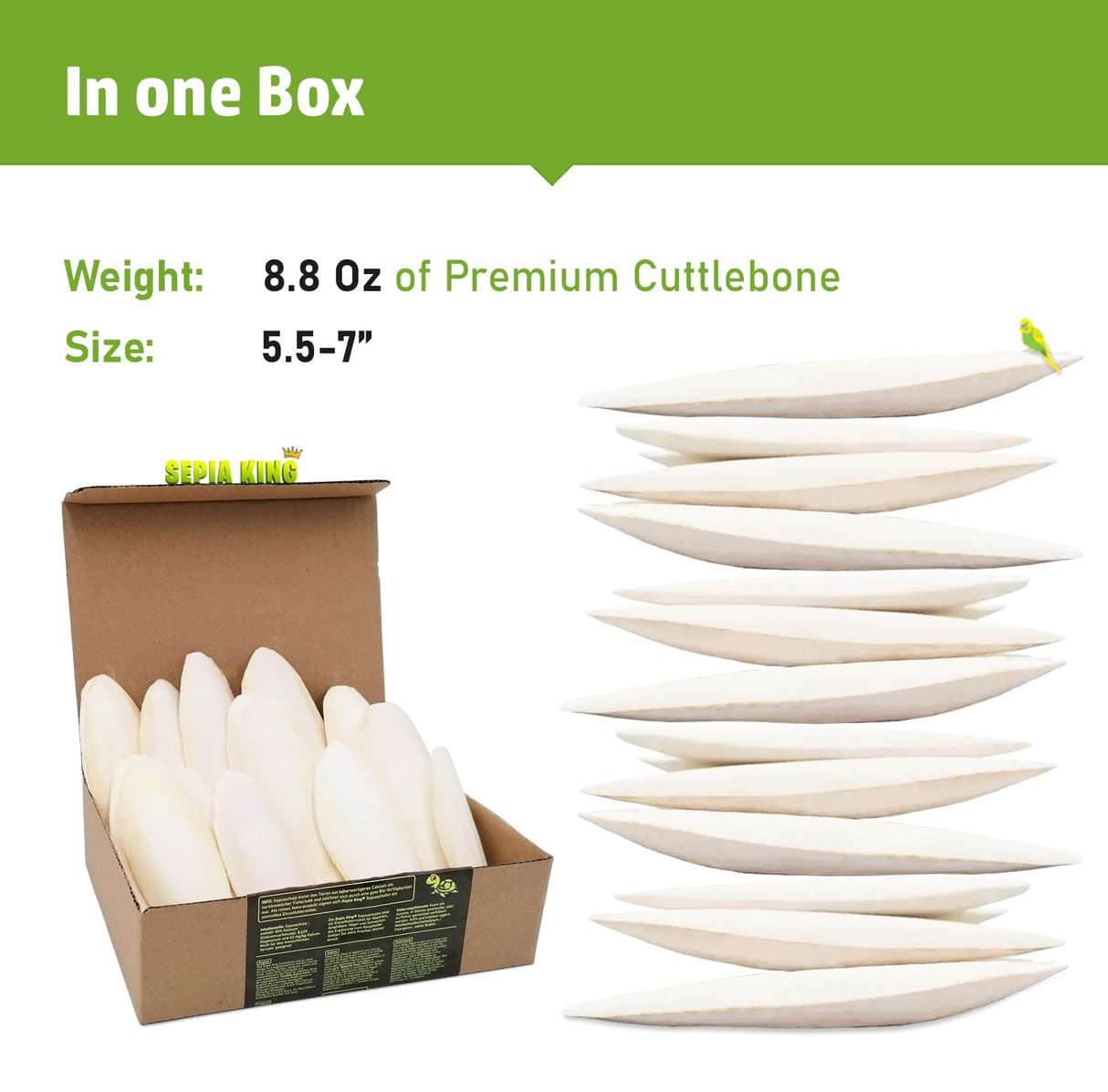 Sepia King - Large - 100% Natural Calcium Supplement - Premium Cuttlebone perfect for Birds, Tortoises, Snails, Reptiles - 5.5 to 7 inch