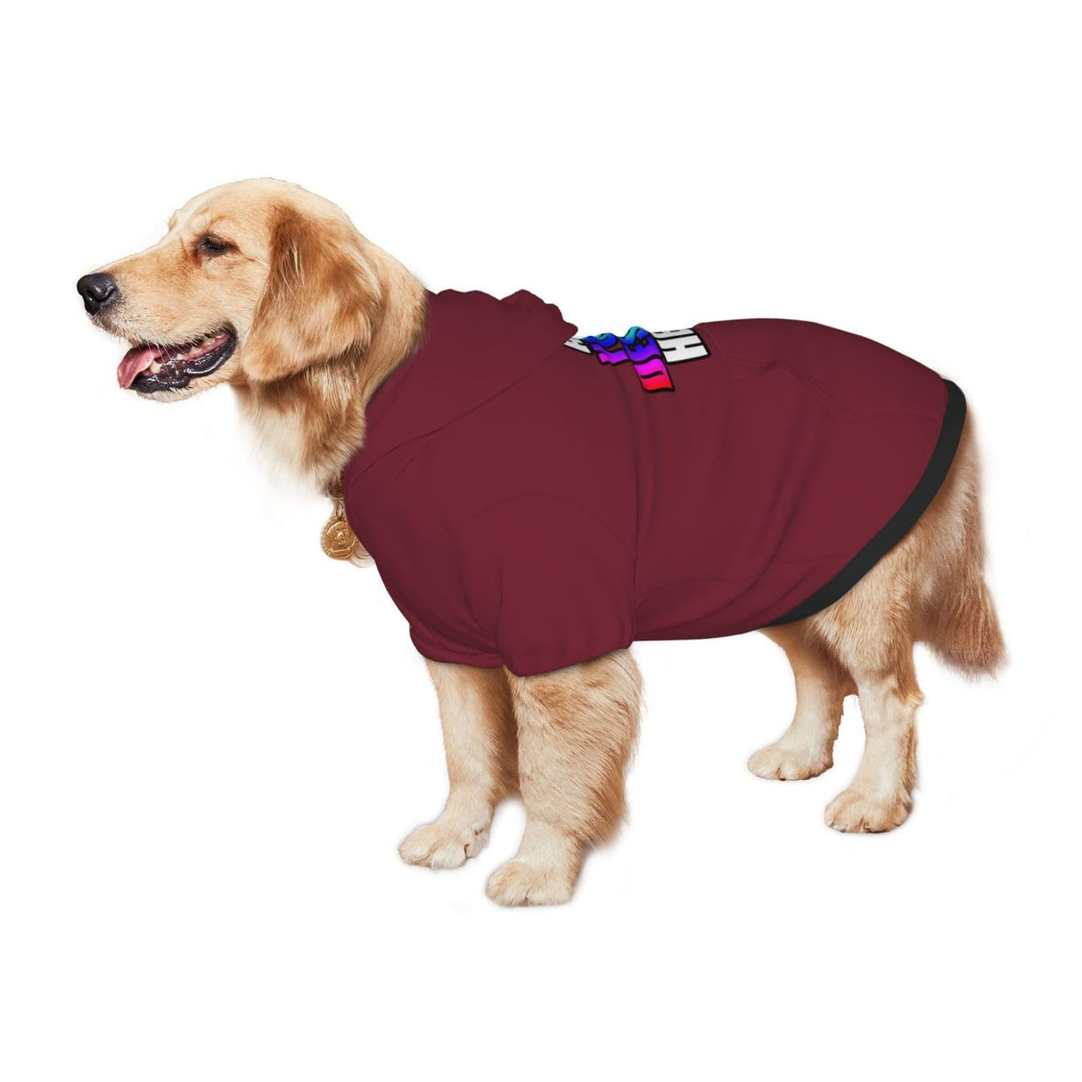 Custom Dog Hoodie Set with Name Photo,Personalized Pet Warm Sweater Hoodie for Medium Large Dogs & Cat Puppy Garnett S