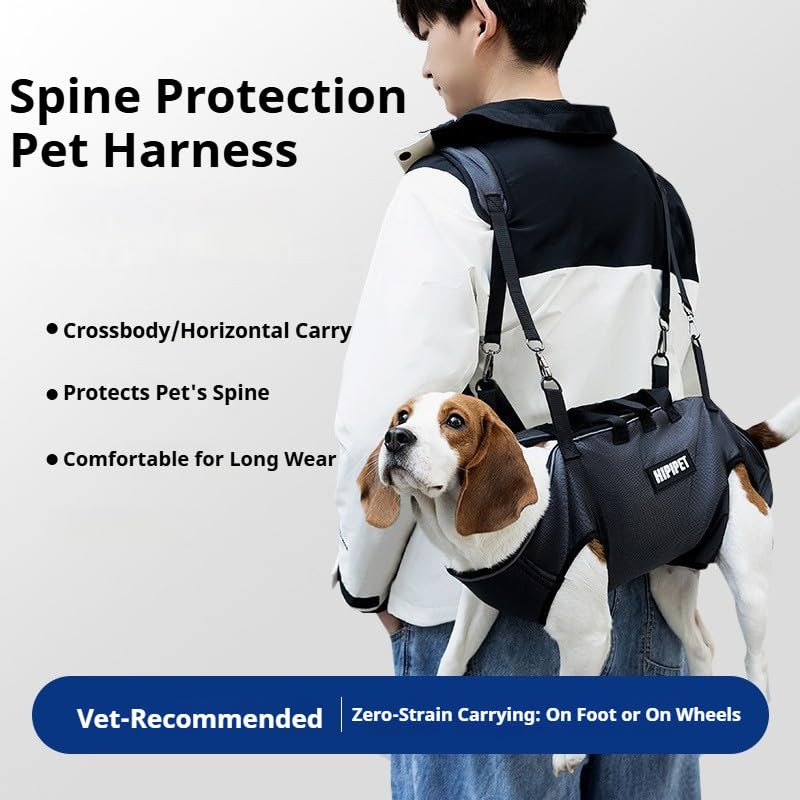 4-in-1 Convertible Pet Carrier for 14-20 lbs Dogs & Cats - Breathable Air Mesh Backpack Harness with Spine Protection | Adjustable Sling, Shoulder Bag & Handheld | Black-L
