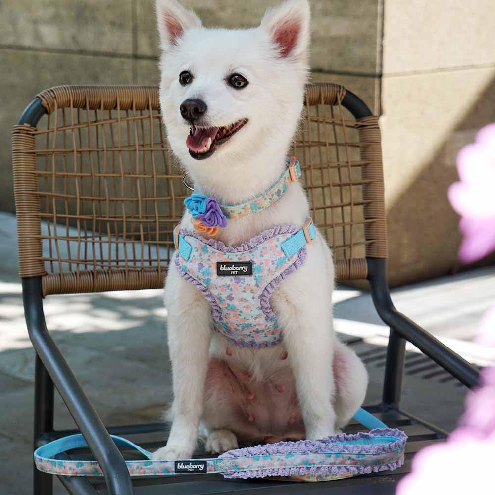 Blueberry Pet Durable Made Well Lovely Floral Print Dog Leash with Lace in Lavender, 5 ft x 5/8", Small, Leashes for Dogs