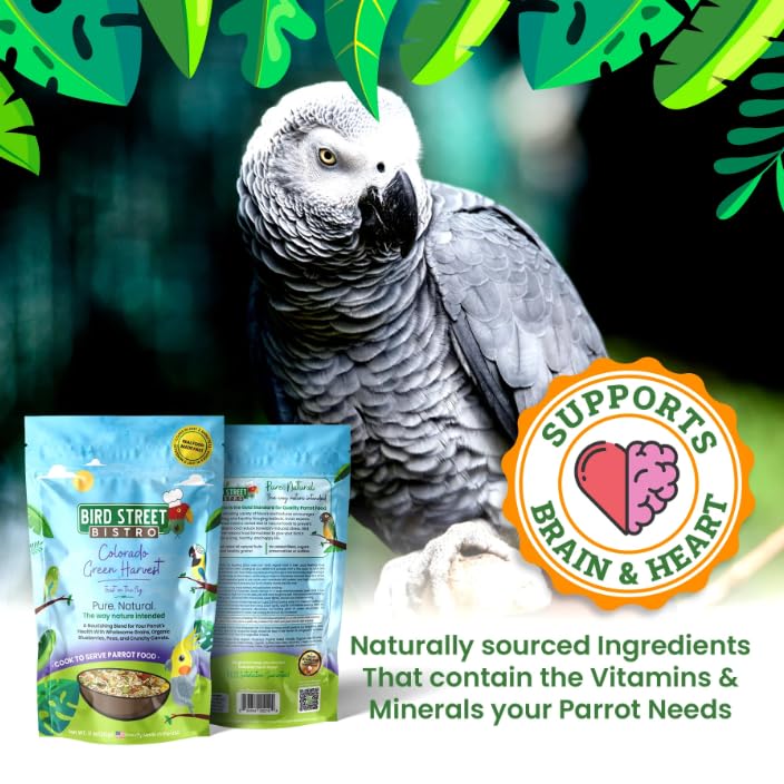 Bird Street Bistro Parrot Food - Parrot Food - Cooks in 3-15 min w/Natural Whole Grains, Legumes, Non-GMO Fruits, Vegetables & Health-Oriented Spices.