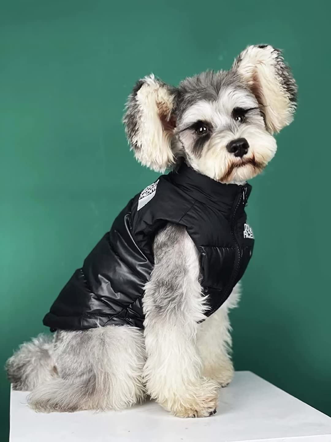 Dog Winter Coat Vest -Windproof Jacket for Small Medium Dogs-Puppy Winter Warm Dog Clothes Apparel for Cold Weather