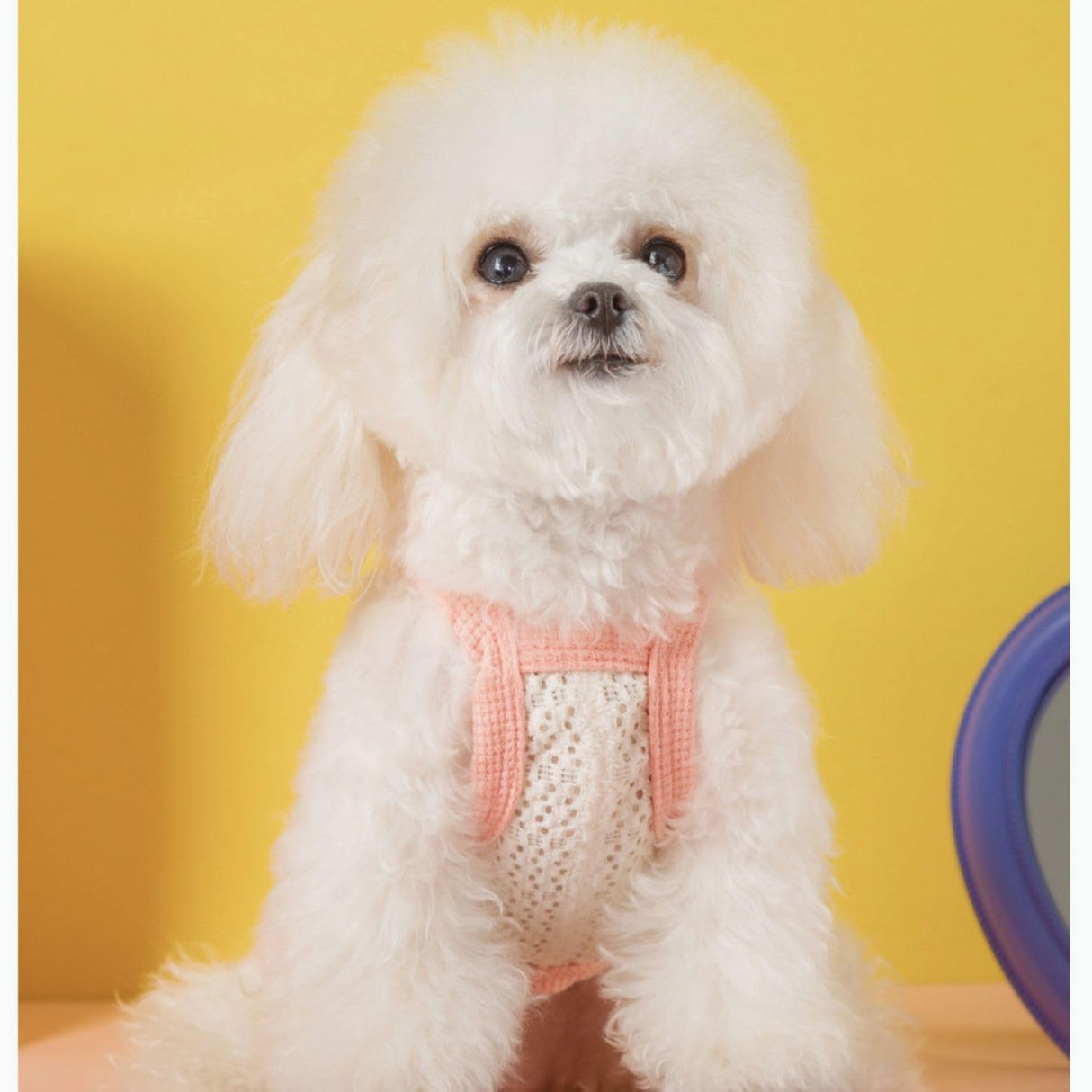 2PCS Breathable Cotton Dog Shirt with Heart and Bow Decoration, Pet Shirt for Small Dog and Cat, Puppy Clothes for Chihuahuas, Dachshunds and Yorkies, Summer Pet Outfit for Girls(2PCS A,XS)