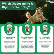 Load image into Gallery viewer, LIQUIDHEALTH Pets K9 Liquid Glucosamine for Dogs, Puppies, Senior Canines with Chondroitin, MSM, Hyaluronic Acid - Dog Vitamins for Hip & Joint Health, Dog Joint Oil, Joint Juice - Made in USA (32 oz)