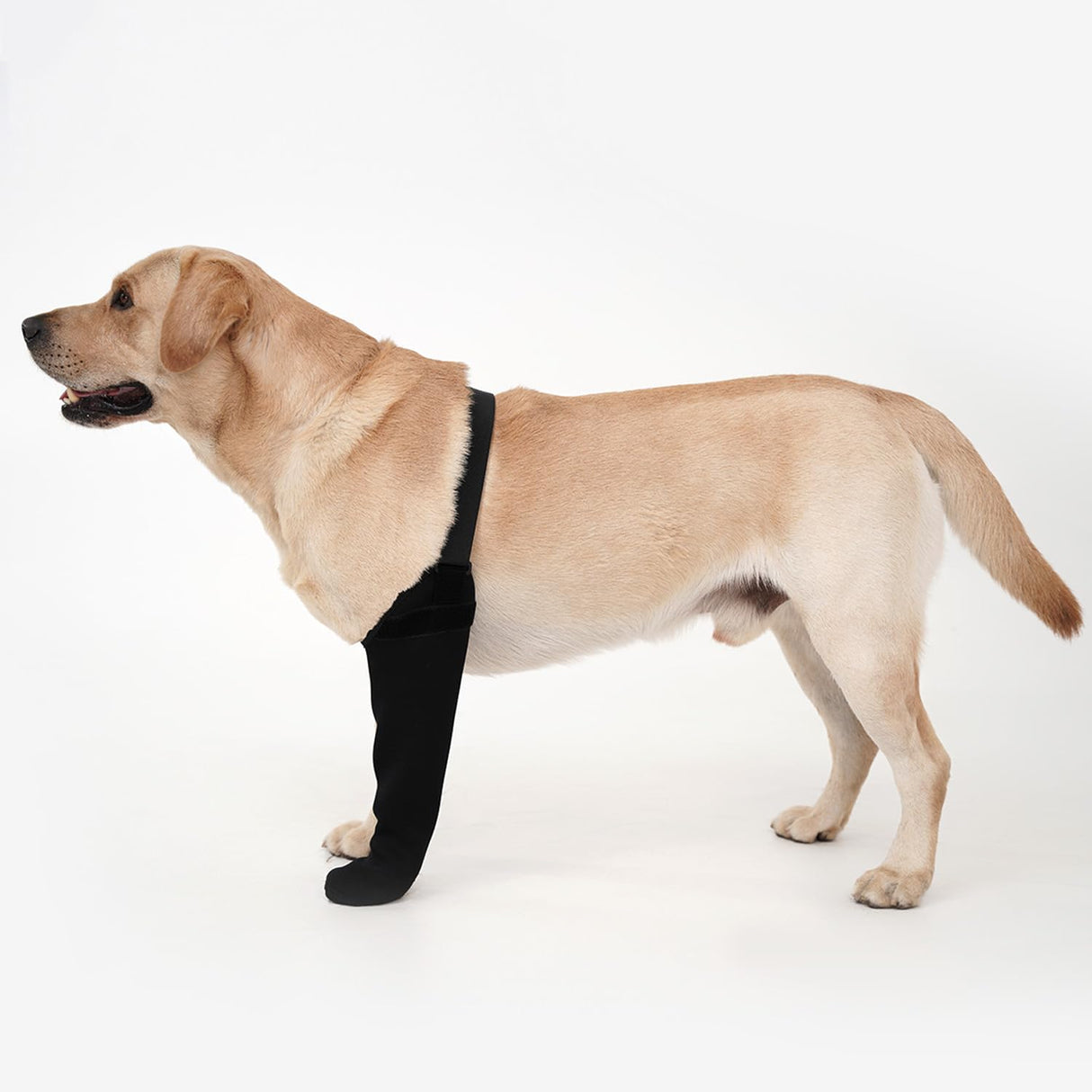 yrenoer Dog Recovery Socks - Waterproof Paw Protectors with Non-Slip Sole | Post-Surgery Boots for Wound Protection | Anti-Licking Sleeves for Dogs (Black, 4XL_Right)
