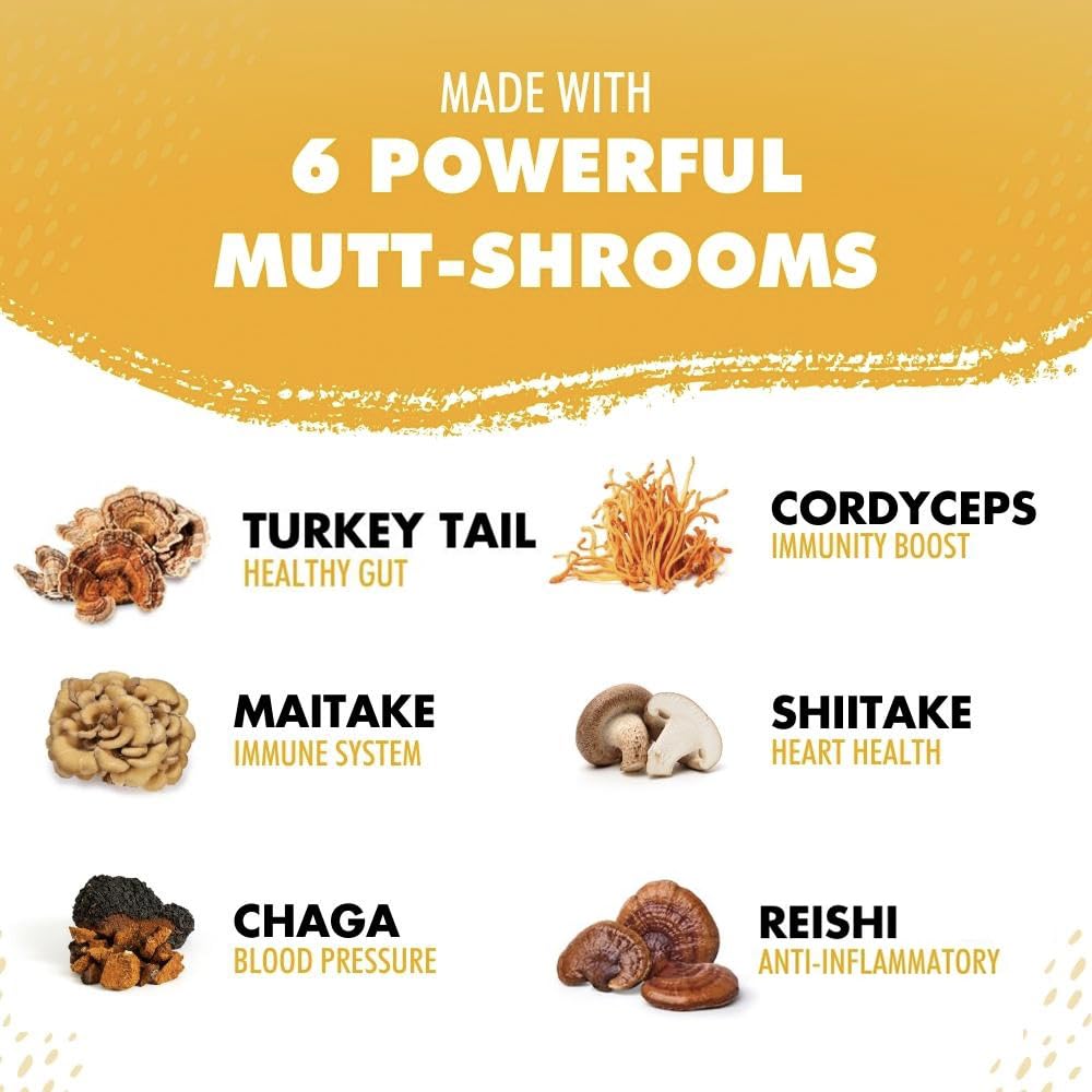 iHeartDogs Turkey Tail Mushroom for Dogs for Lumps, Bumps & Lipomas with Bone Broth and 6 Mushroom Blend Powder