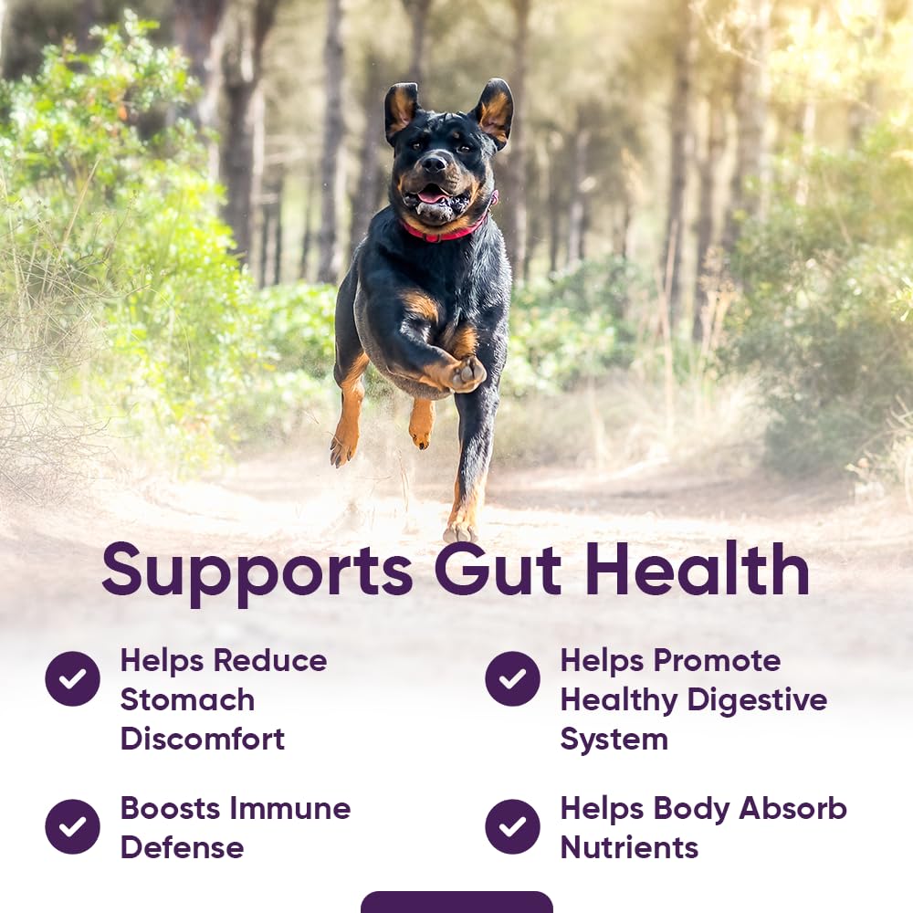 iHeartDogs 3-in-1 Probiotic for Dogs with Pumpkin for Improved Digestion & Gut Health - Dog Probiotics and Digestive Enzymes, 90 Count