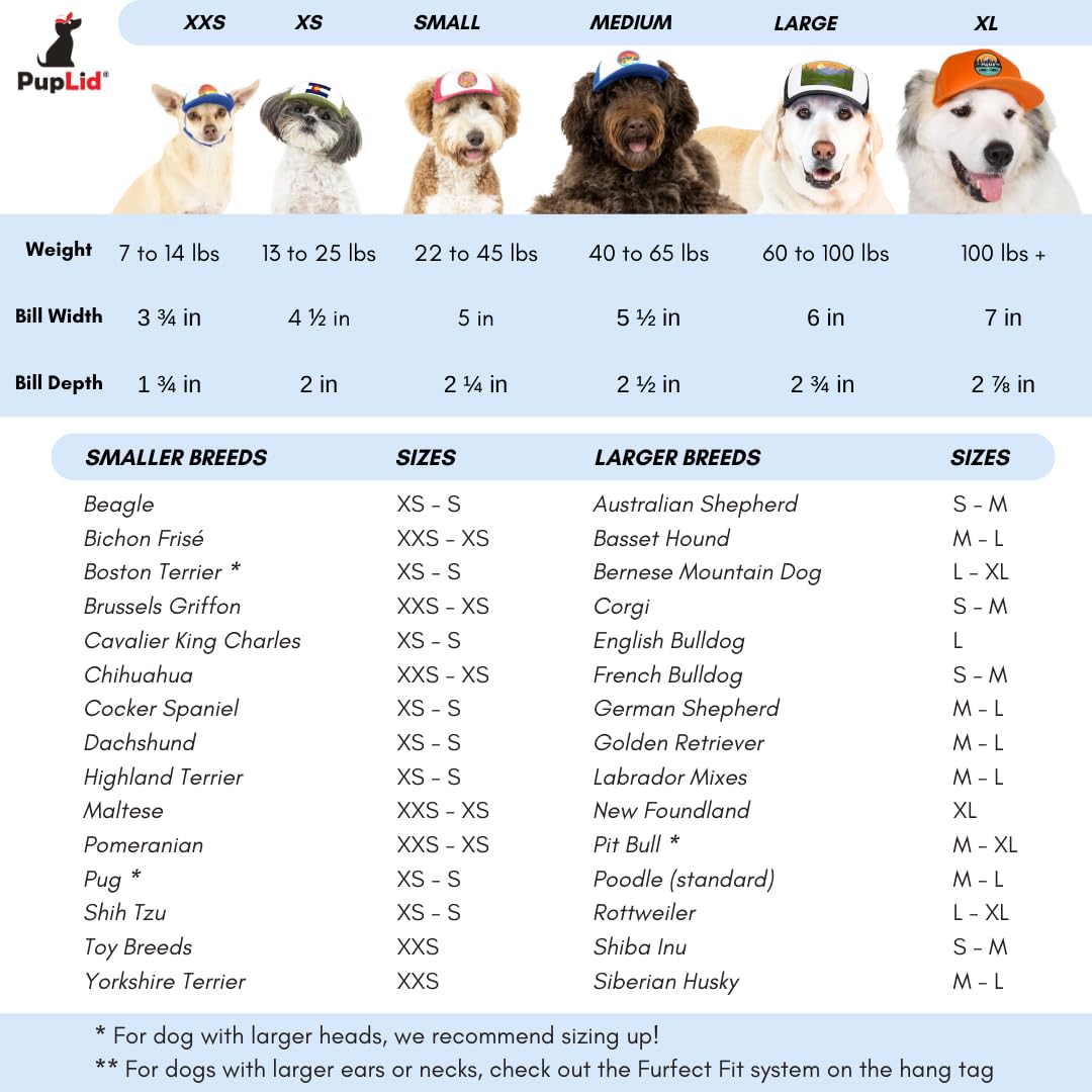 Nature Collection, PupLid Trucker Hats for Dogs (Large) Premium Stylish Sun Protection for The Modern Dog - Adjustable for Secure Comfortable Fit on Active Dogs (Black, Bear)