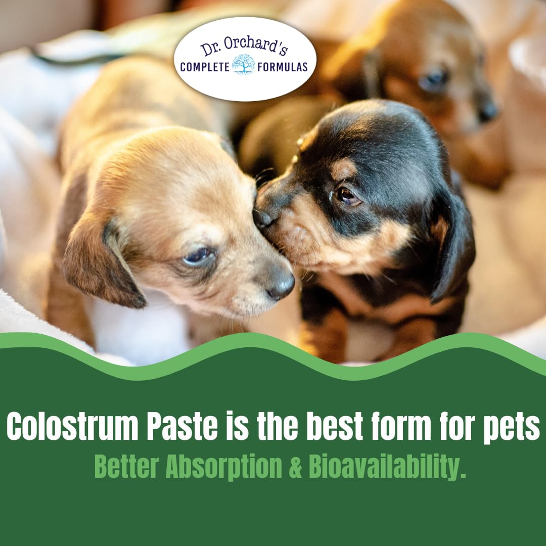 Dr. Orchard's Colostrum Paste, Immune Support Supplement for Puppies and Kittens, Bio-Active IgG Formula, 30g