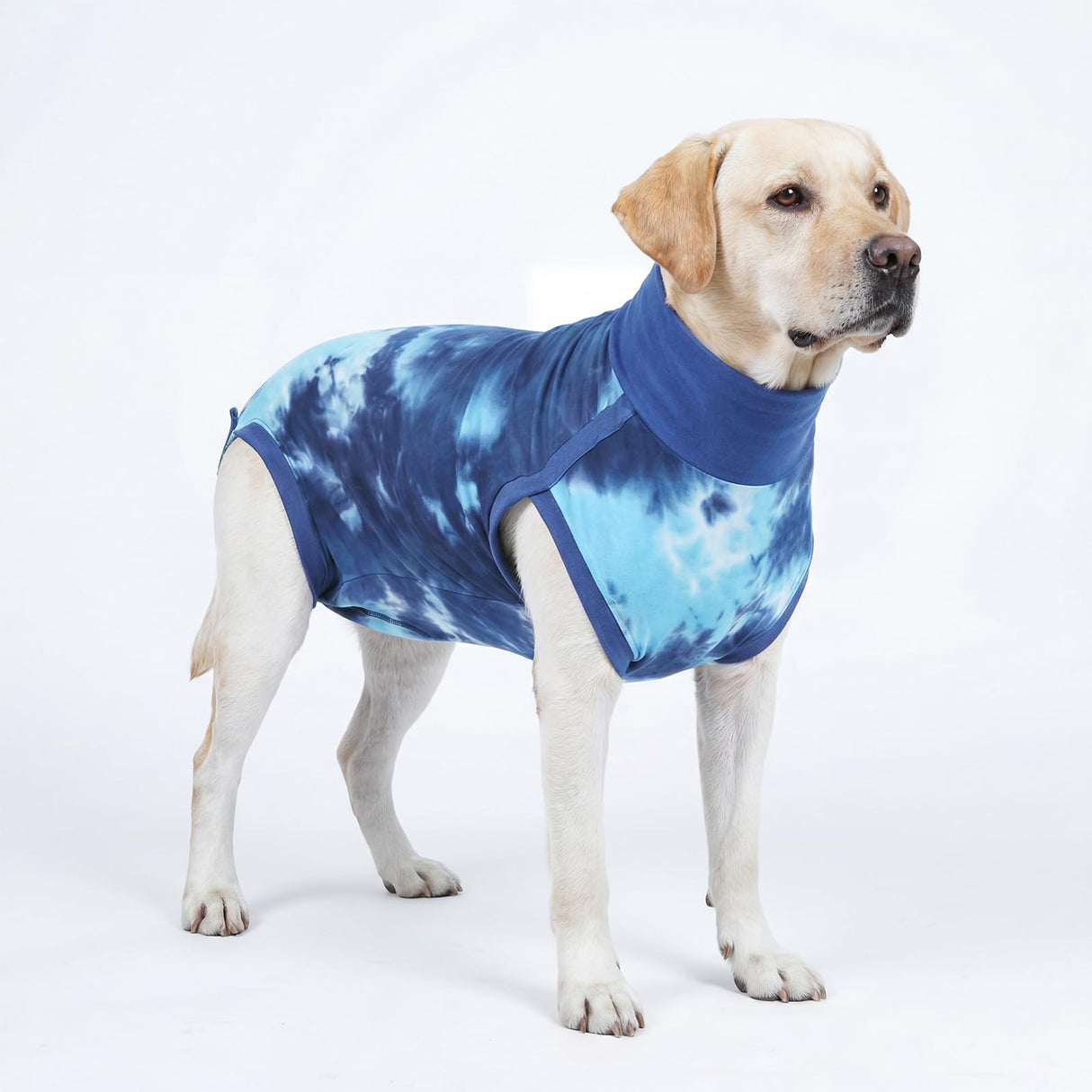pangdi Recovery Suit for Dogs After Surgery, Spay Suit Female Spay & Male Neuter, Dog Onesie Body Suits for Post-Surgical, Abdominal Wounds and Skin Conditions, Blue, XL