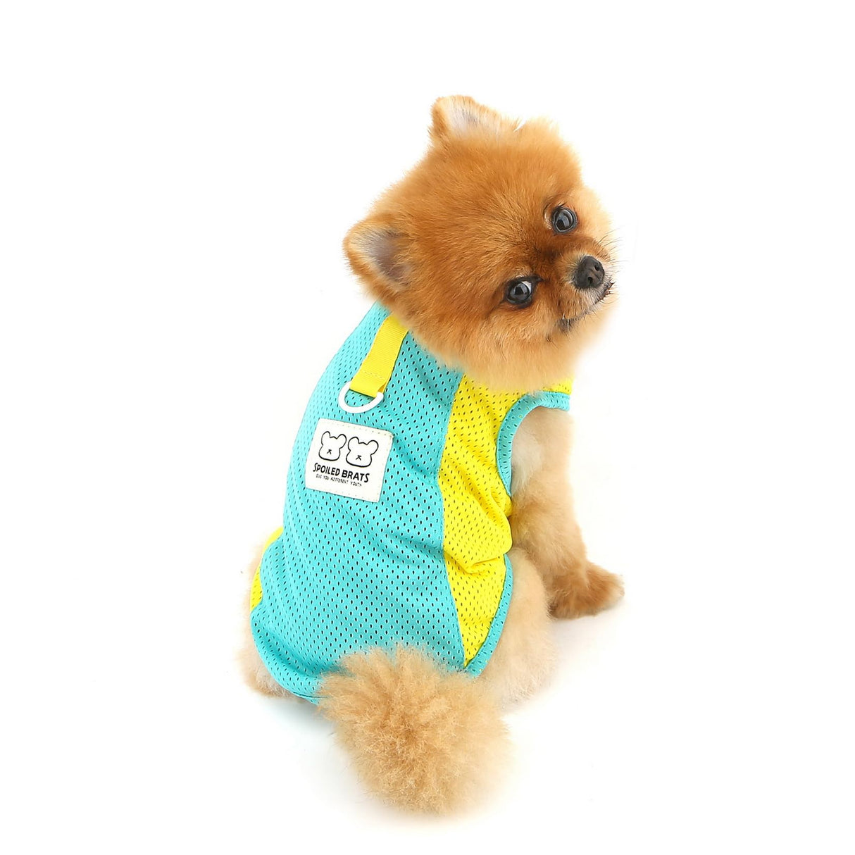 PAIDEFUL Breathable Mesh T-Shirt for Small Dogs Summer Doggie Cool Vest Soft Lightweight Puppy Tee Shirts Sleeveless Pet Tank Top Sweatshirts Cozy Chihuahua Clothes Cat Apparel D-Ring,Green,L