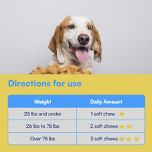 Load image into Gallery viewer, NAD+ Precursor & Senior Dog Supplement - 90 Soft Chews & Vitamins - NMN Alternative for Longevity, Anti-Aging & Energy - Nicotinamide Riboside, Resveratrol, Quercetin, Made with Pasture-Raised Chicken