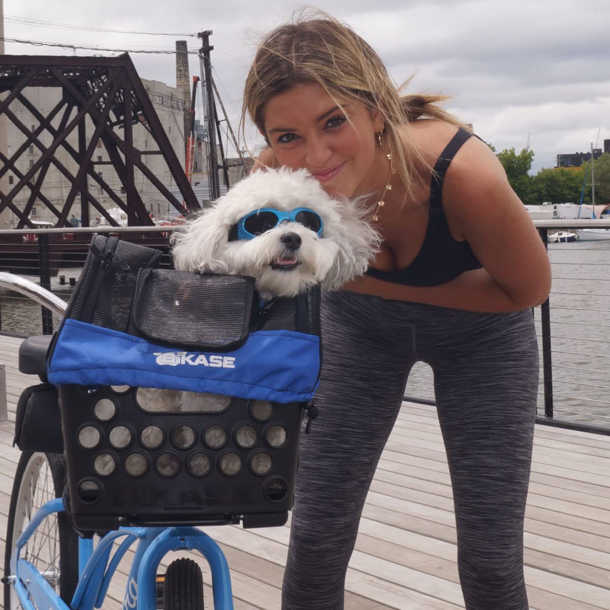 BiKase Durable Dog Bike Basket & Carrier, Rear Mount Pet Basket for Bikes with Super Comfort Mat and Cover, Ideal for Small Dogs and Cats up to 12 lbs