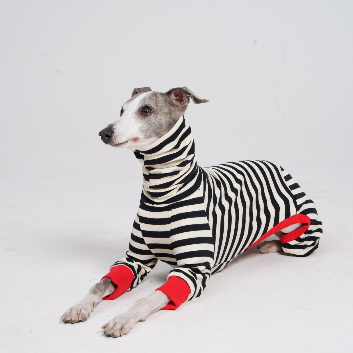 ESCCBOO Italian Greyhound Onesie Clothes, Turtleneck Striped Shirt for Whippets Puppy, Light and Thin Shirt for Spring and Summer (Small)