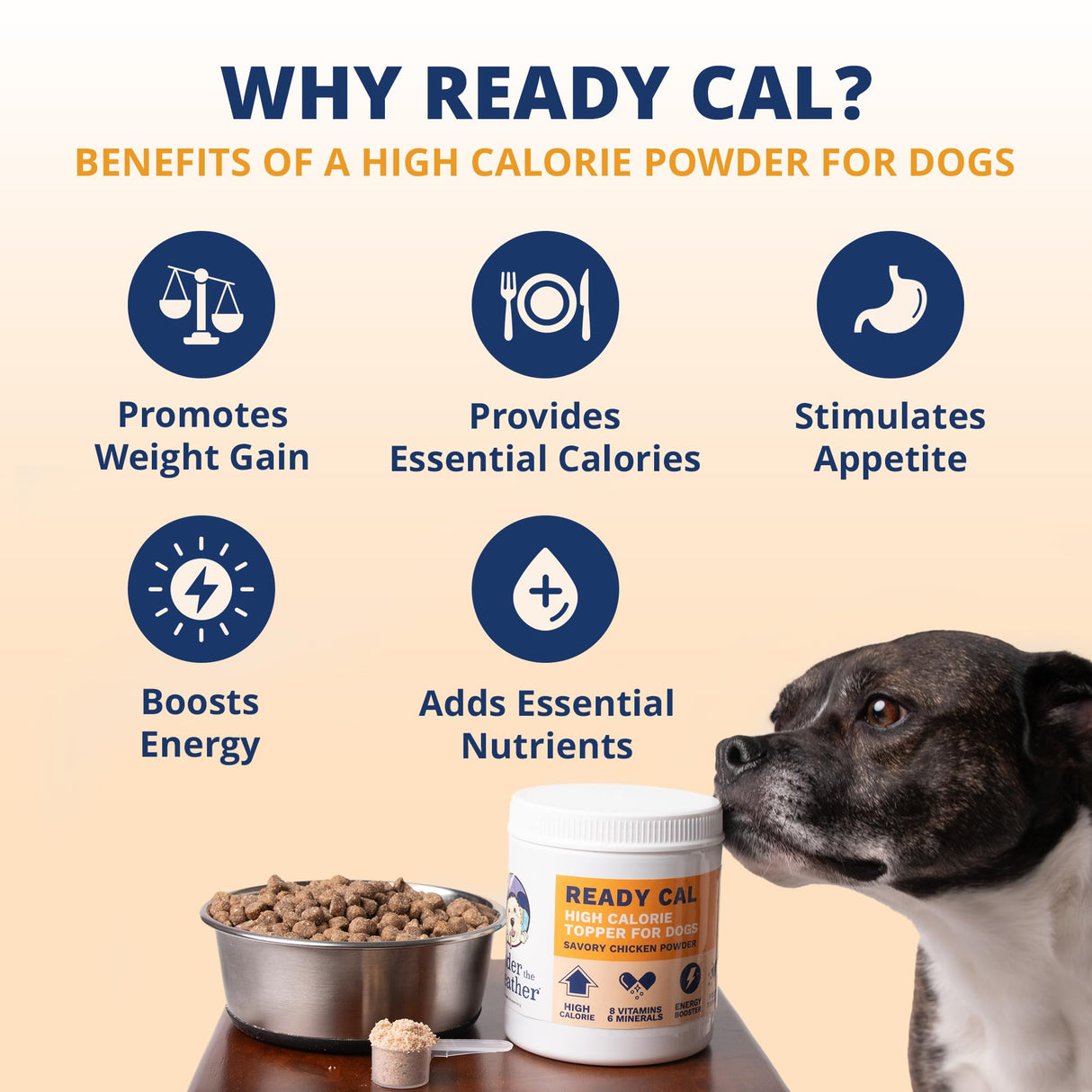 Under the Weather Ready Cal Powder for Dogs, High-Calorie Weight Gainer & Appetite Stimulant, Dog Energy Booster Veterinarian-Approved Pet Supplement with Vitamins & Minerals, Chicken Flavor |10.58 oz