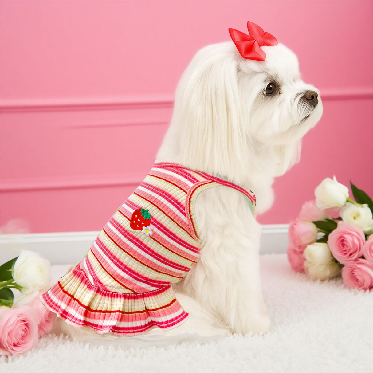 XGDMEIL Cute Small Dog Dress Girl Female Dog Clothes Spring Summer Pet Puppy Cats Striped Dress Outfits for Shih Tzu Yorkies Chihuahua Maltese(4 Pcs,X-Large)