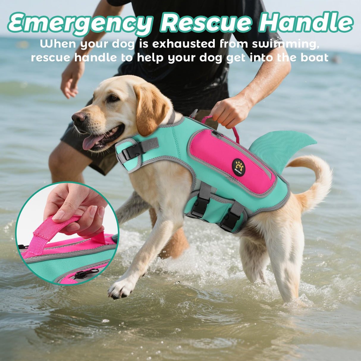 Sheripet Dog Life Jacket, High Buoyancy Shark Dog Safety Vest, Neoprene Pet Life Preserver with Good Visibility & Reflective, Puppy Swim Floating Vest with Rescue Handle for Boating (Turquoise, Small)
