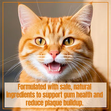 Load image into Gallery viewer, PawBright Dental Plus, Dog Dental Plus Water Natural, Odorless & Flavorless Formula to Fight Tartar Promote Healthy Gums, Easy Daily Use for All Pet 1pcs (8.45oz)