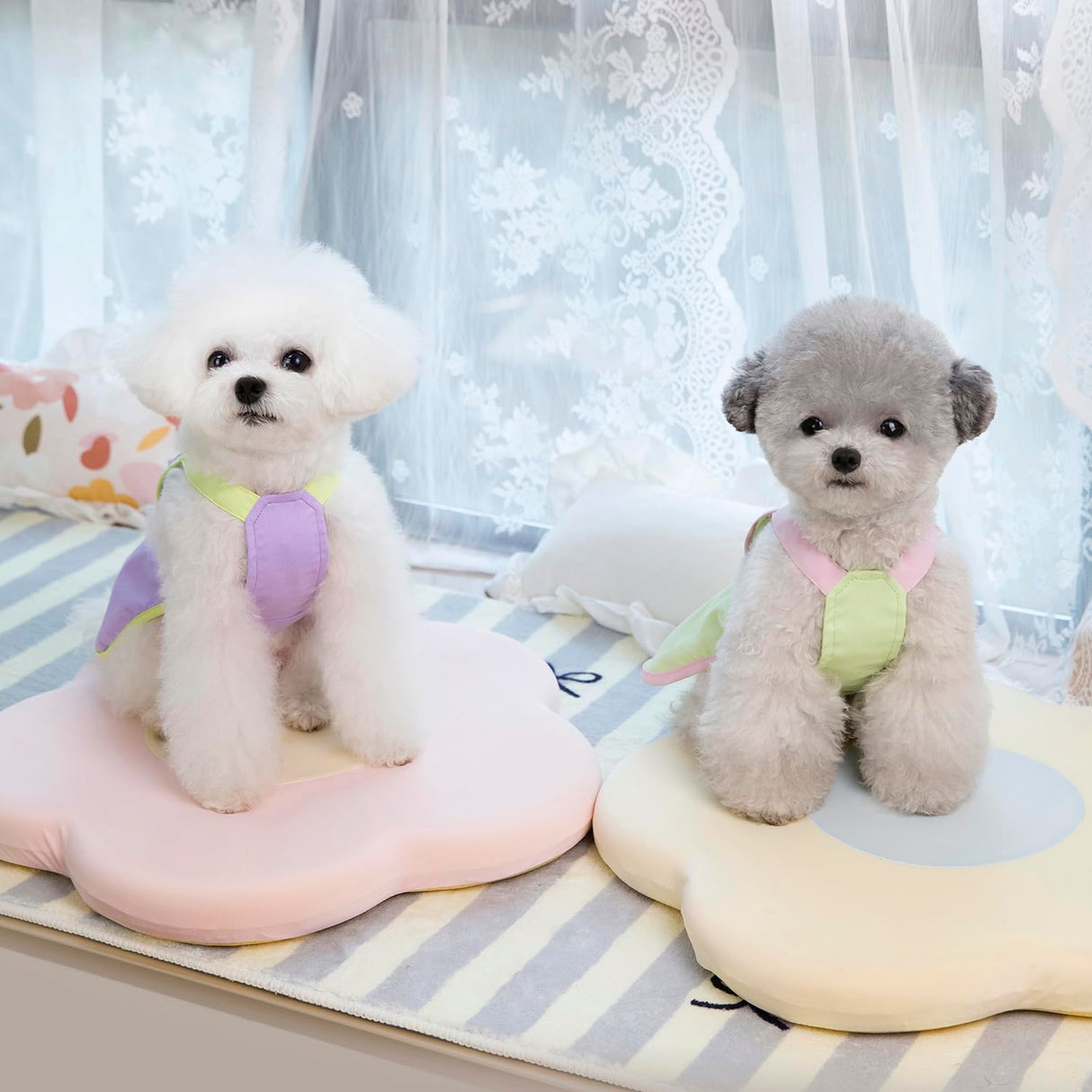 2 Pieces Dog Dresses Puppy Luxury Princess Dress Sunny Day Clothes Wedding Evening Summer Suspender Dress Skirt Doggie Dress for Small Dog Girl L
