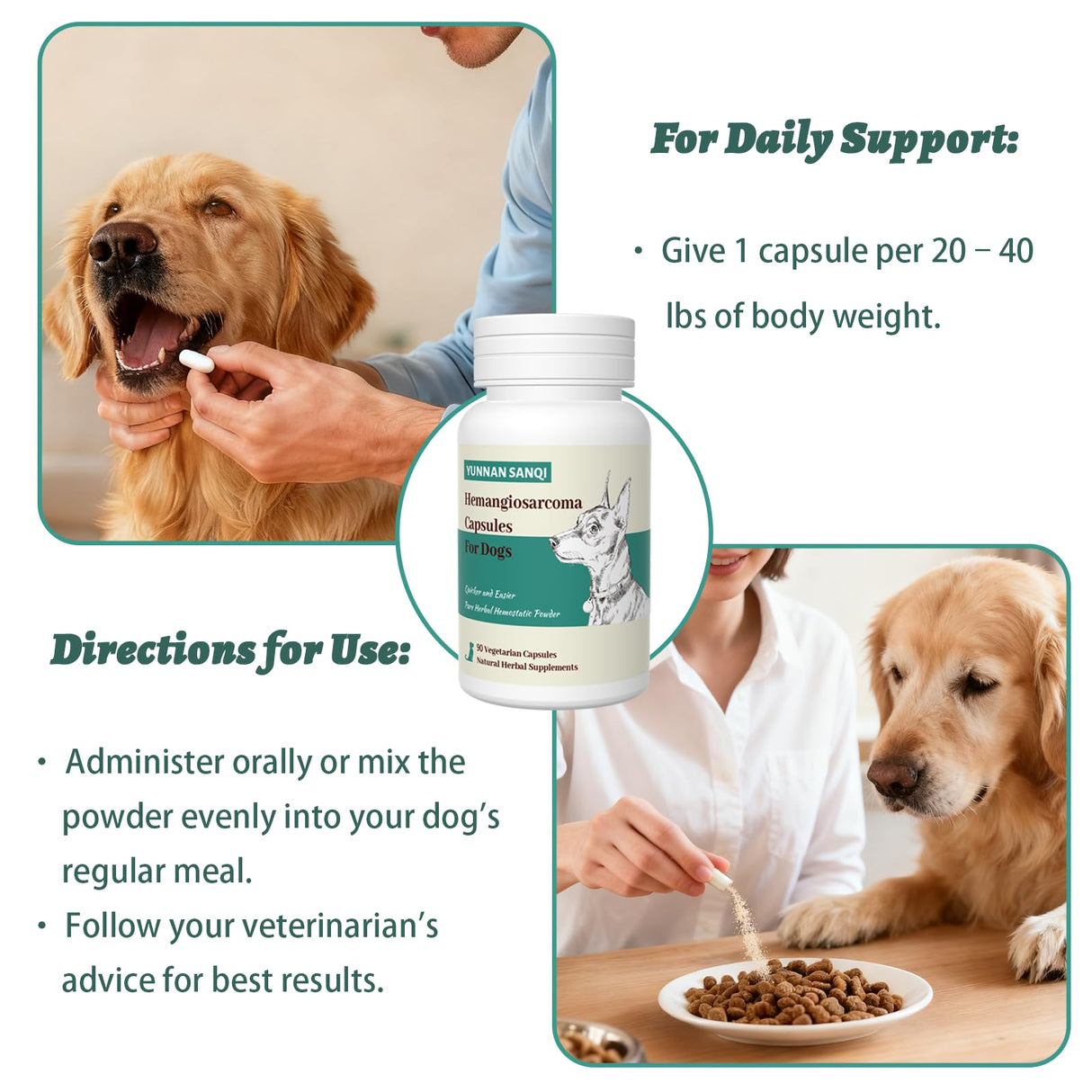 Yunan Sanqi Hemostatic Capsules for Dogs, for Hemangiosarcoma, Hemoabdomen, Pericardial Effusion, Cancer Bleeding, Severe Bruising, Ulcer-Related Bleeding