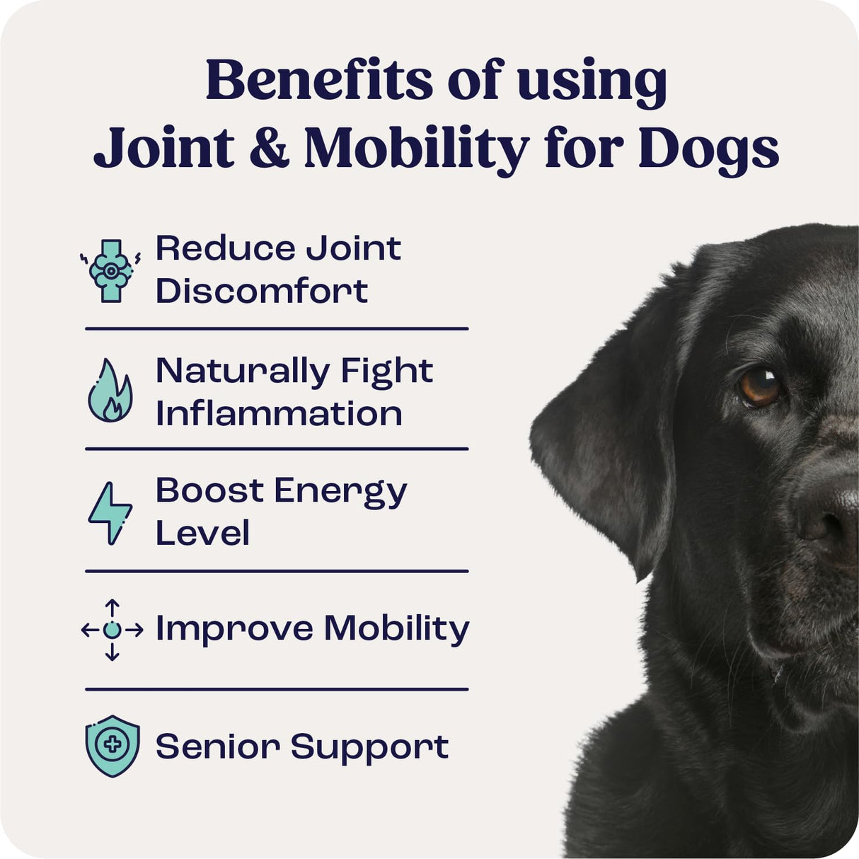 Summit Canine Joint and Mobility Supplement for Large Dogs, All Natural Liquid Chondroitin with Liposomal Delivery for Arthritis, Hip & Joint Support Vitamin, (Dogs 75+lbs)