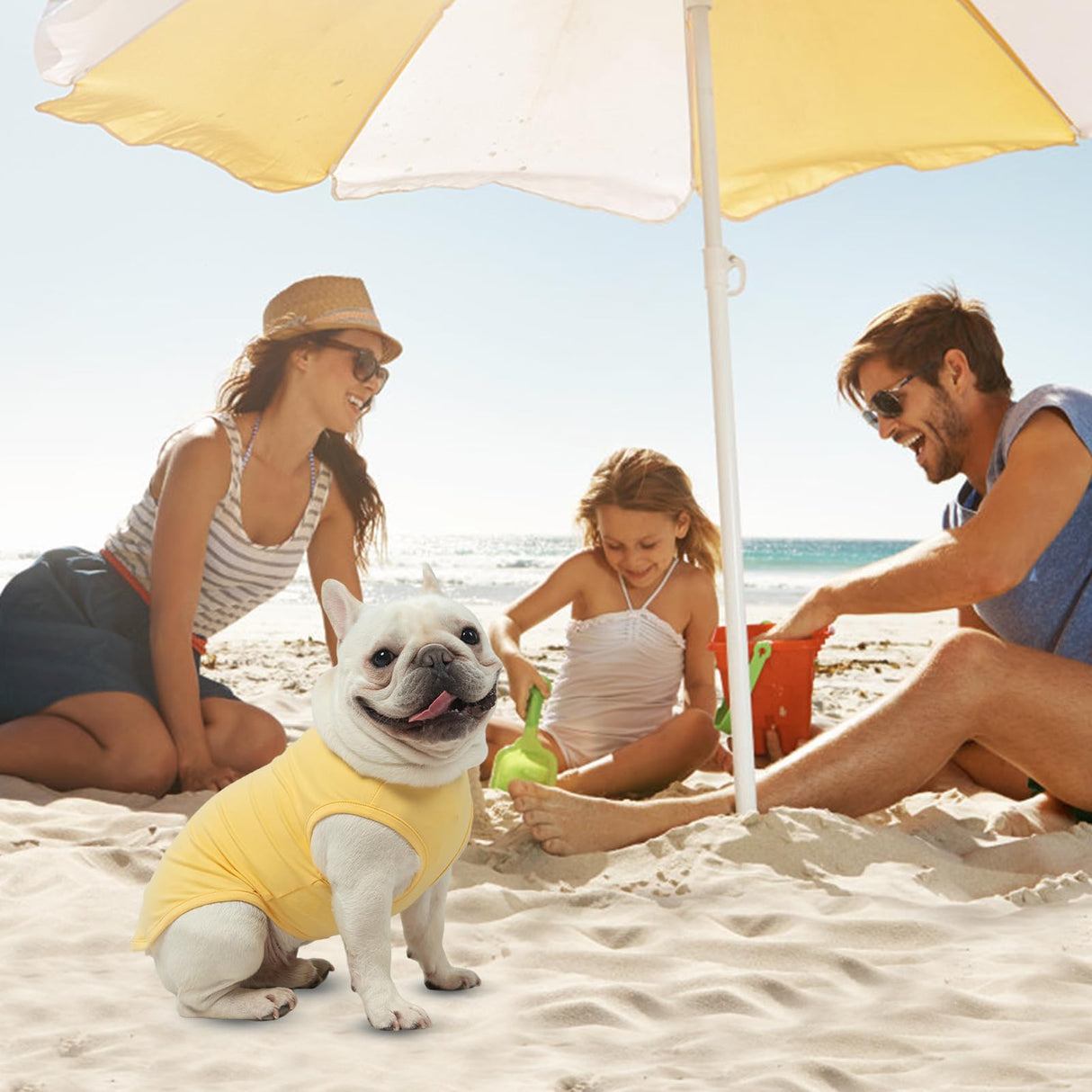 MIHACHI Dog Shirts Cotton Striped T-Shirt, Summer Pet Clothes for Small Dogs, 2-Pack Soft Puppy Apparel Cat Tee, Sleeveless Lightweight, Quick Dry, Breathable,Stretchy, Yellow M