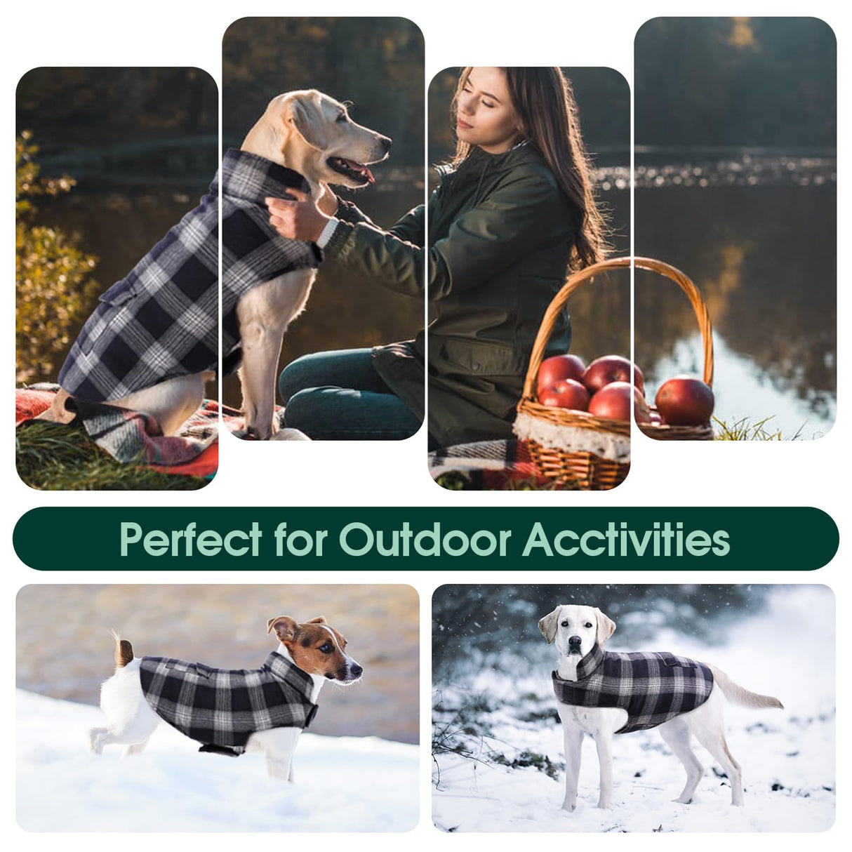 Kuoser Dog Winter Coat, Reversible Dog Jacket, Warm Doggie Coat British Style Puppy Cold Weather Vest, Windproof Pet Clothes Vest for Small Dogs, Blue S