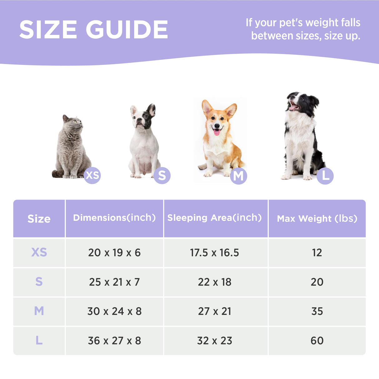 LE SURE Cute Dog Bed for Medium Dogs - Washable Pet Beds,Cozy Rectangle Orthopedic Sofa with Jacquard Shaggy Plush & Anti Slip Bottom,30x24x8inches
