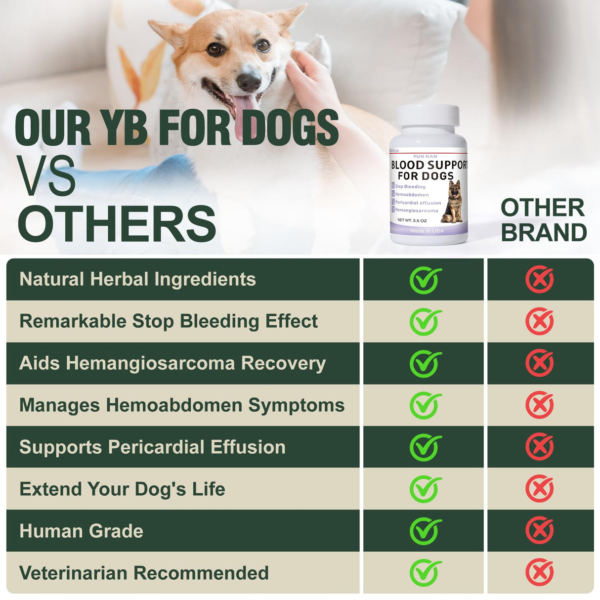 Aids in Cancer Treatment, Quick Stop Bleeding, Yunnan Sanqi Powder for Hemangiosarcoma, Hemoabdomen, Pericardial Effusion, Cancer Bleeding, Nose Bleed, Bloody Stools, Blood Support for Dogs, 100g