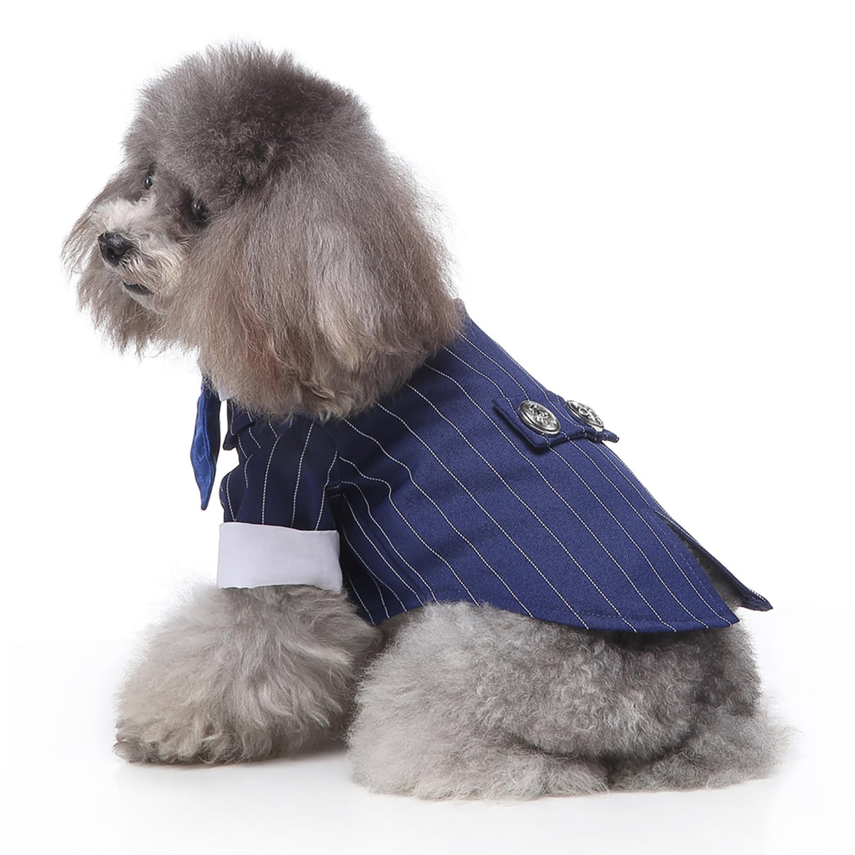 GabeFish Pets Wedding Jackets Suit for Dogs with Bow Tie Puppy Cat Formal Clothes Shirt Tuxedo (BlueStriped, S (Chest 12.9in/33cm)