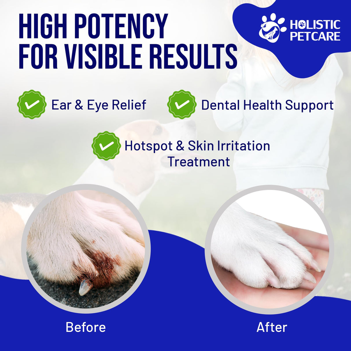 Holistic Pet Care - Colloidal Silver Spray for Dogs, Cats, Horses & Birds - 20 PPM Effective Wound Care, Hot Spot Treatment, Skin Relief & Immune Support - All-Natural Pet Silver Spray (16 Oz)