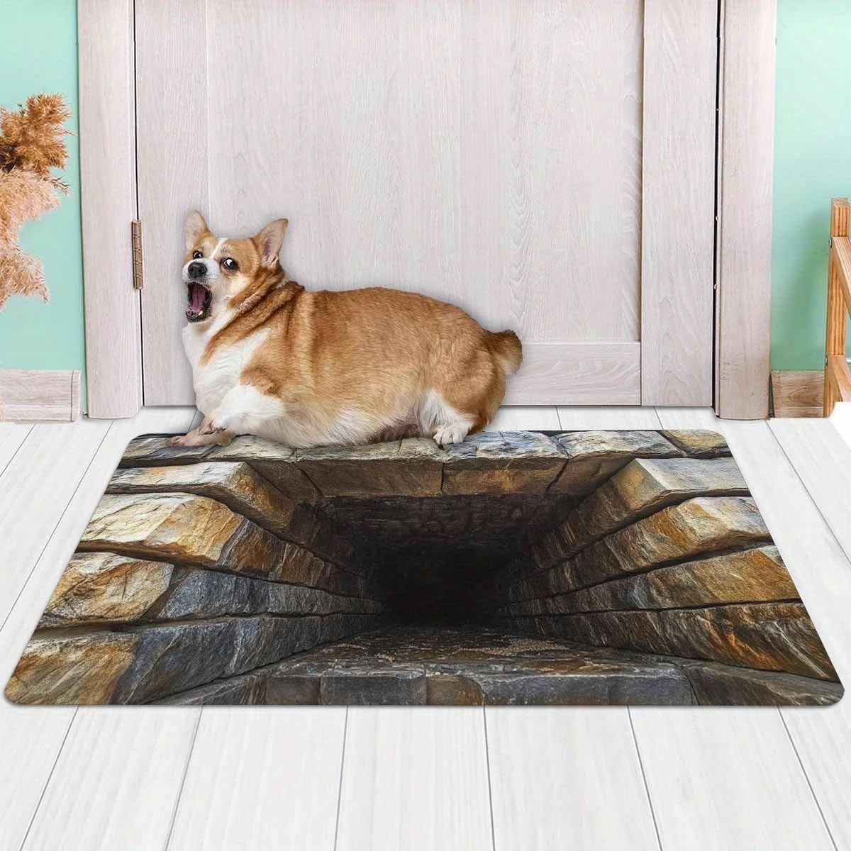 3D Optical Illusion Rug, Get Scared, Rug That Looks Like a Hole, Rugs Optical Illusion, As Test & Game with Your Cat or Dog (C-23.6x35.4in)