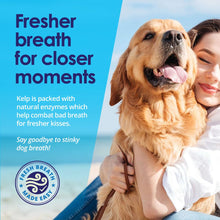 Load image into Gallery viewer, Dog Teeth Cleaning Powder, Dog Plaque and Tartar Remover, Bad Breath Treatment for Dogs with USDA Organic Sea Kelp Powder, Dog Dental Care Made Easy, for All Ages, 6oz