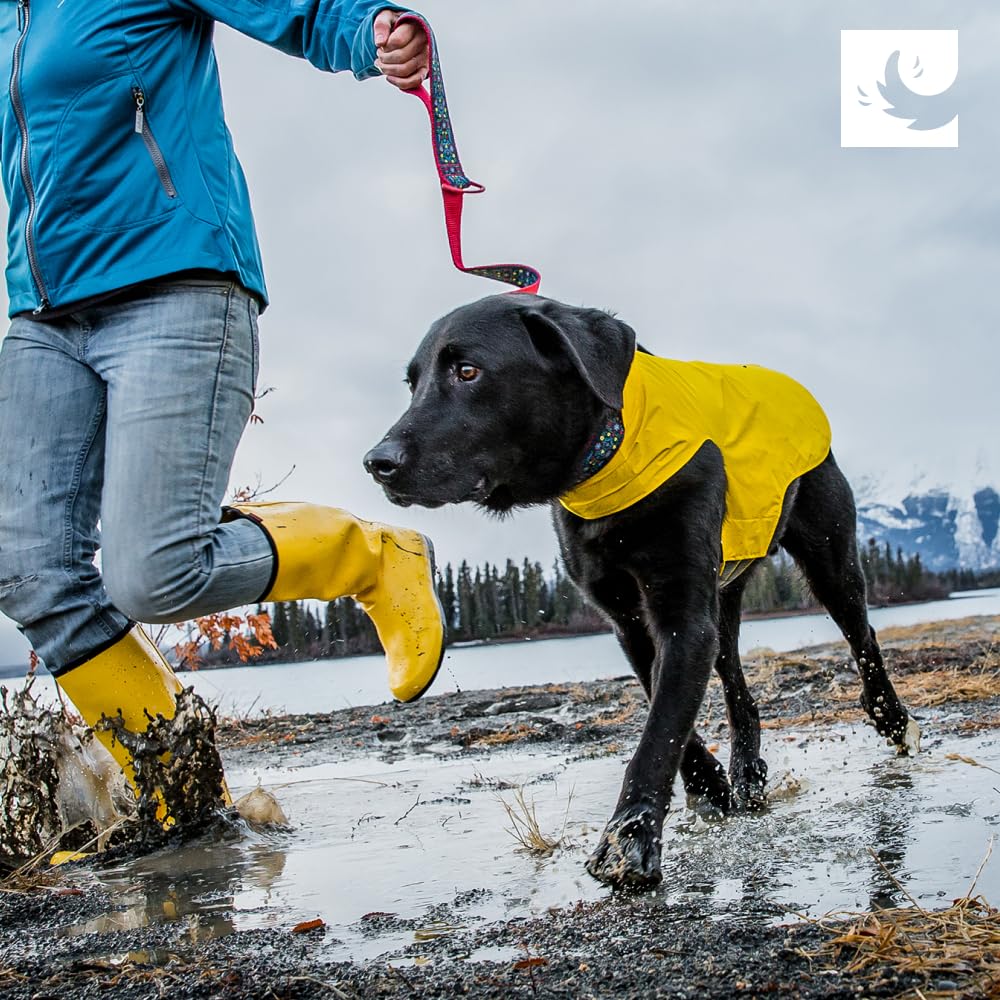 RC Pets Delta Rain Slicker, Water-Resistant Dog Raincoat, Medium, Lemon