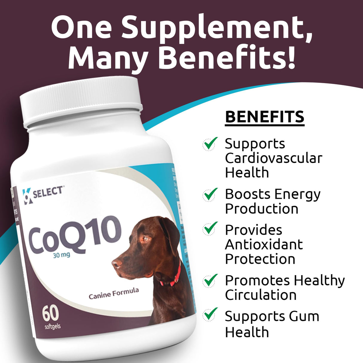 K9 Select CoQ10 Supplement for Dogs, 30mg - 60 Soft Gels per Bottle - Pet Supplement, Nutritional Softgels for Canine Heart Health, Cardiovascular & Gum Health, Energy