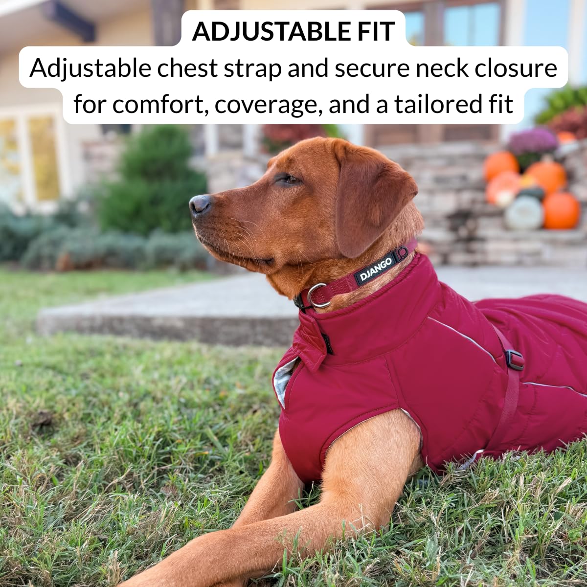 DJANGO Insulated Winter Dog Coat – Warm, Water-Repellent Puffer Jacket for Small Dogs, Dachshunds & Puppies – Adjustable, Reflective Cold-Weather Dog Coat with Harness Hole – Firelight Red, Small